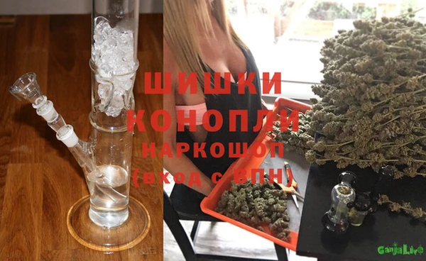 PSILOCYBIN Алзамай