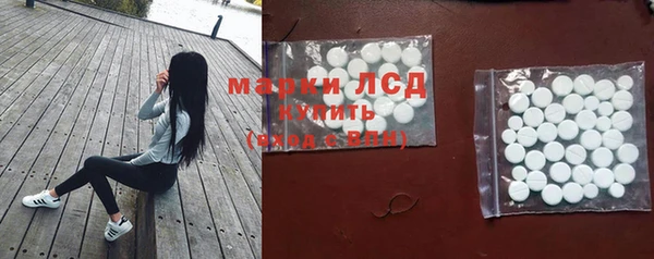 PSILOCYBIN Алзамай
