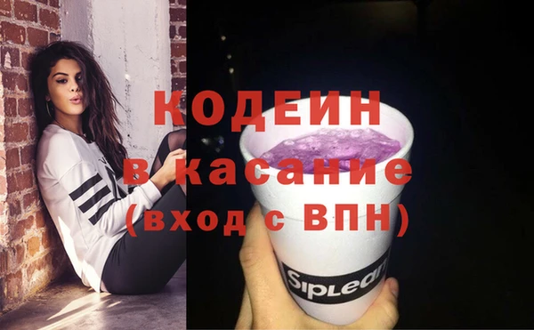PSILOCYBIN Алзамай