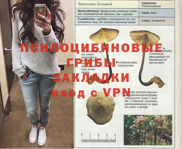 гидропоника Алексин