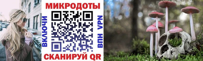 shop Telegram  Николаевск  Псилоцибиновые грибы Cubensis 